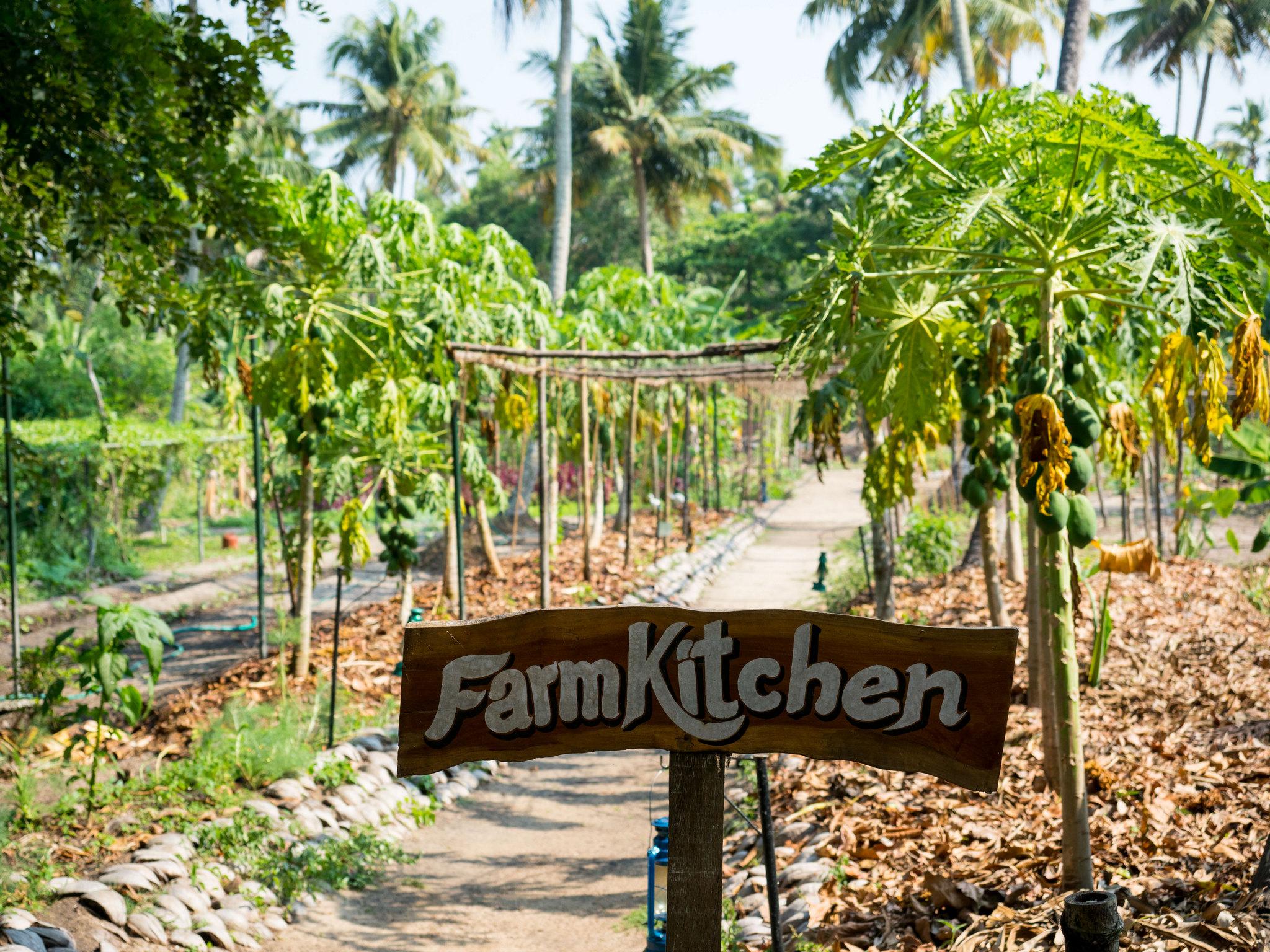 מאראריקולם Marari Beach Resort Alleppey - A Cgh Earth Experience מראה חיצוני תמונה