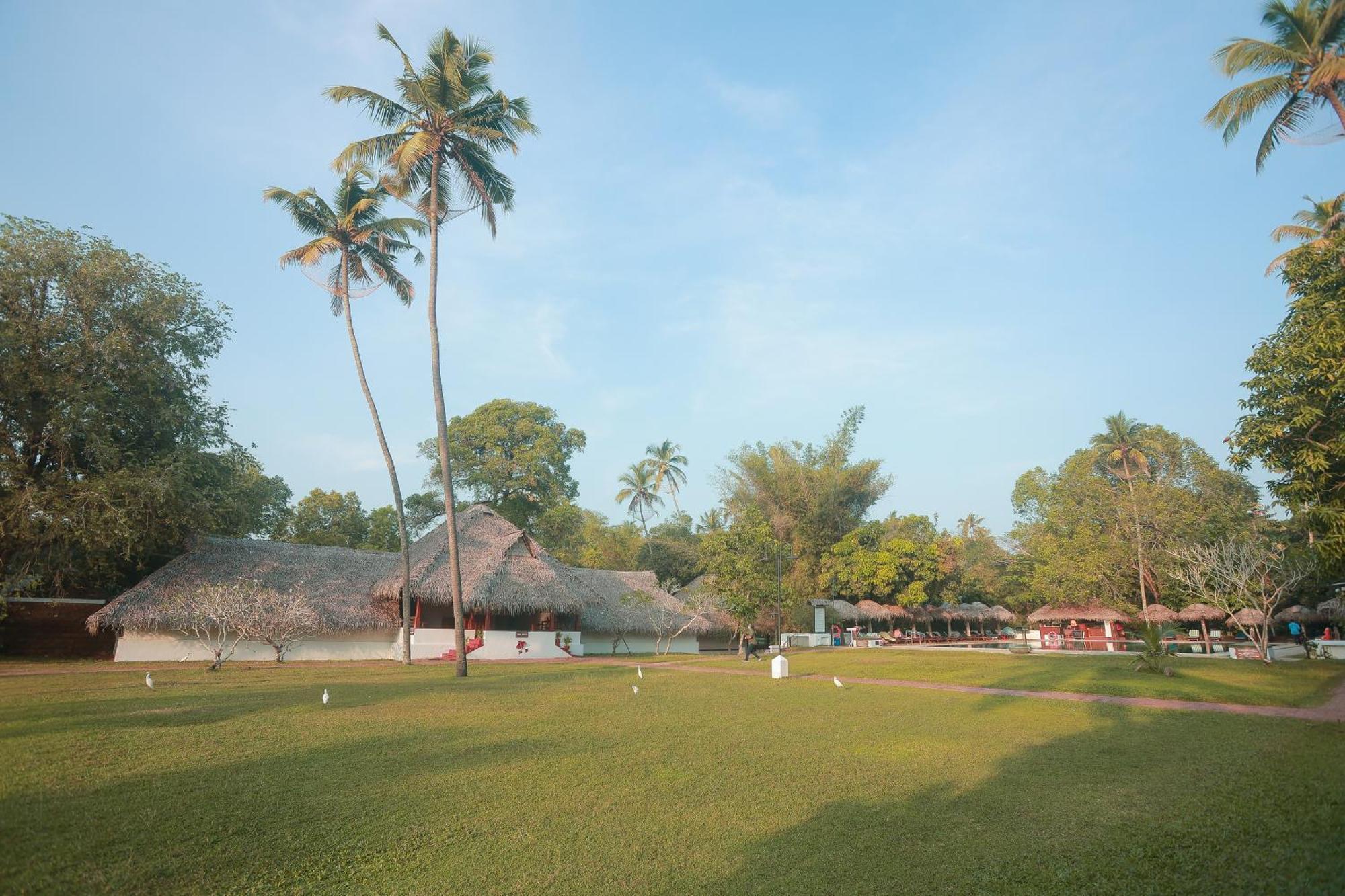 מאראריקולם Marari Beach Resort Alleppey - A Cgh Earth Experience מראה חיצוני תמונה