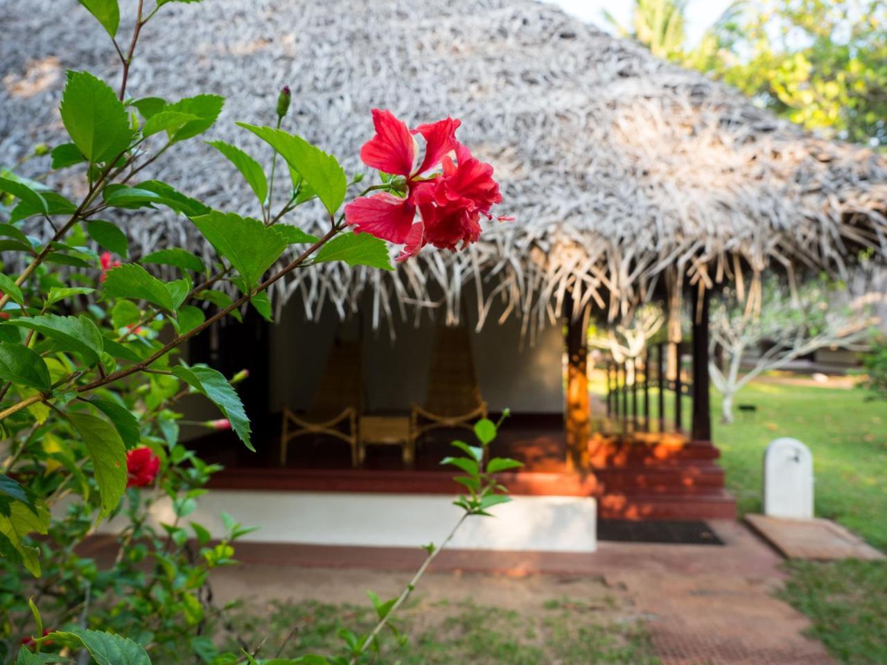 מאראריקולם Marari Beach Resort Alleppey - A Cgh Earth Experience מראה חיצוני תמונה